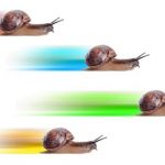 Professional Writers’ Alliance image: Your career in writing can go from snail’s pace to fast pace when you choose a niche industry.
