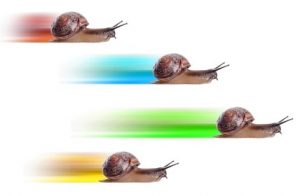 Professional Writers’ Alliance image: Your career in writing can go from snail’s pace to fast pace when you choose a niche industry.