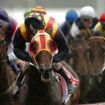 A pack of race horse charging to the line during a race meeting.