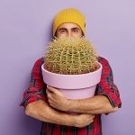 Happy young man in mustard yellow hat holds a large cactus in a pink pot