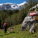 Hiker in the Alps passes a rock with a red and white trail blaze, hiking across a grassy field