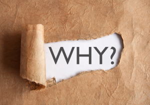 "why" appears behind torn brown paper